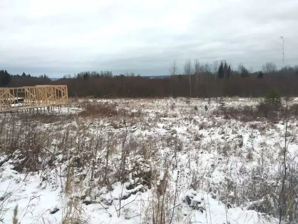 Участок в Вологодская область, Великоустюгский муниципальный округ, д. ... - Фото 1