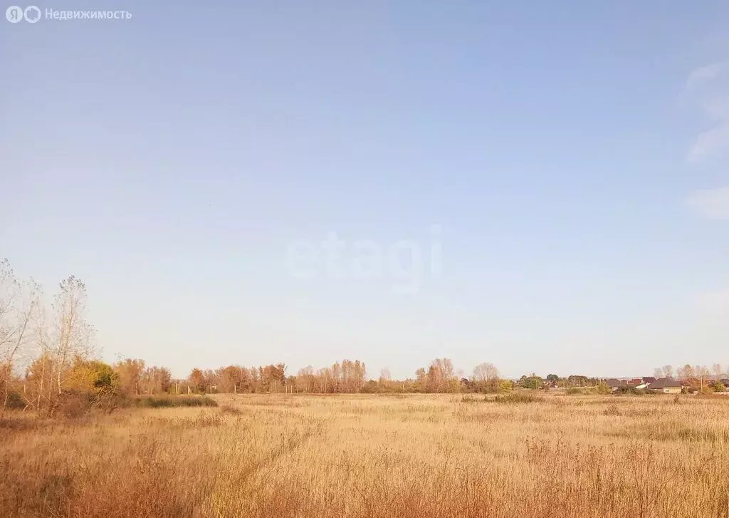 Участок в Красноярский край, Минусинский муниципальный округ, посёлок ... - Фото 2