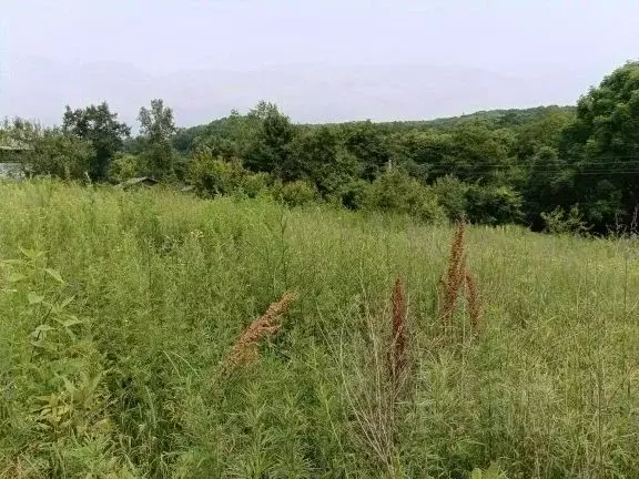 Участок в Приморский край, Партизанский муниципальный округ, пос. ... - Фото 1