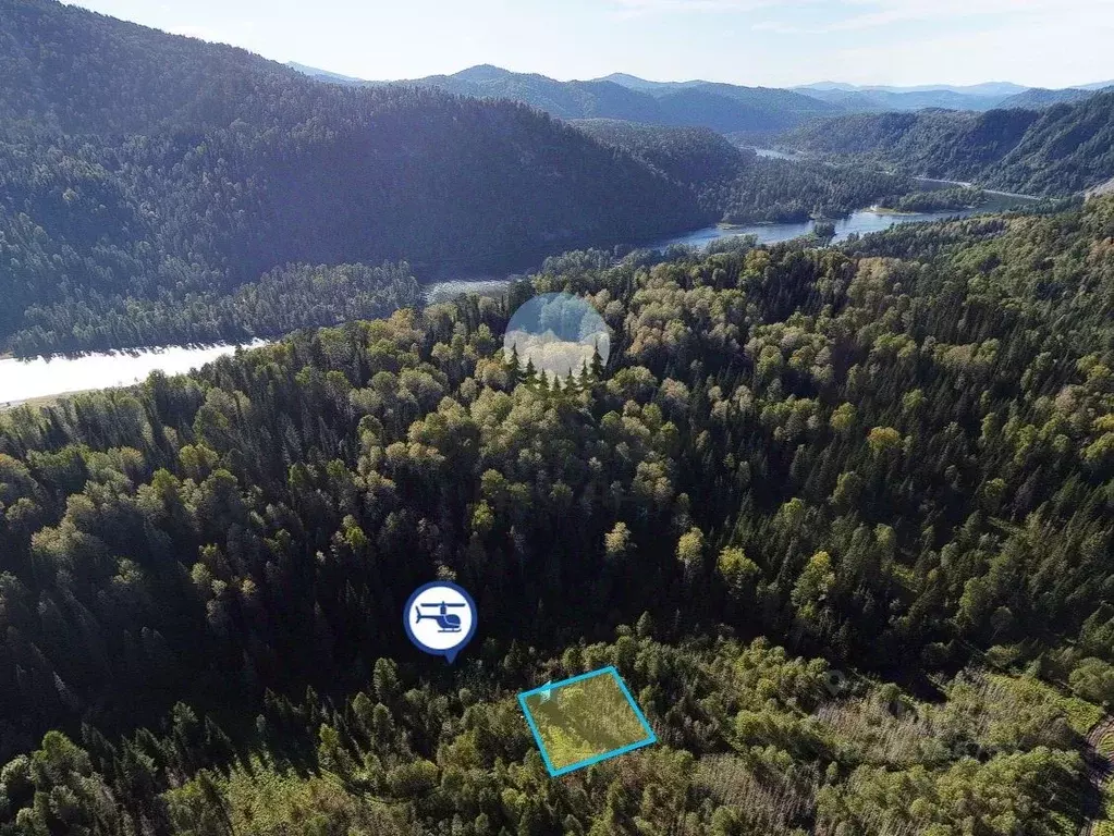 Дом в Алтай, Турочакский район, с. Артыбаш ул. Пихтовая, 2 (14 м) - Фото 1