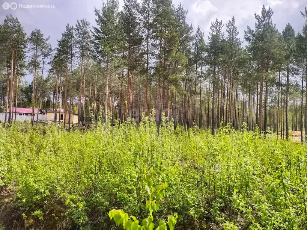 Участок в посёлок городского типа Верхняя Максаковка, микрорайон ... - Фото 1