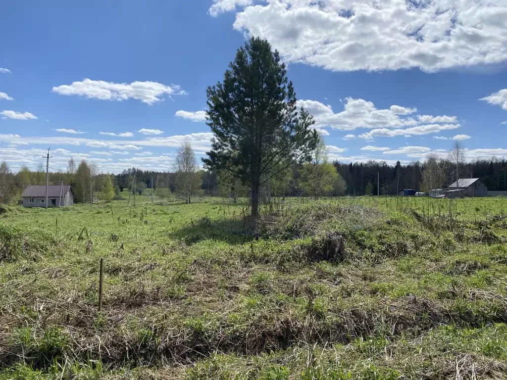 Участок в Удмуртия, Завьяловский район, Мирный починок ул. Липовая ... - Фото 2