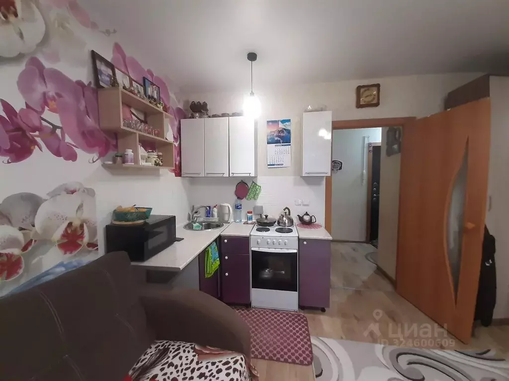 Студия Пермский край, Пермский муниципальный округ, с. Фролы ул. ... - Фото 2