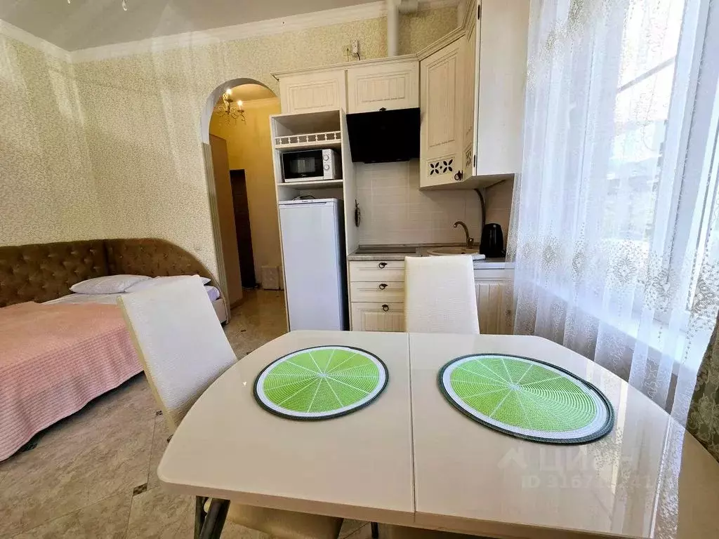 1-к кв. Краснодарский край, Сириус пгт ул. Субтропическая, 6 (25.0 м) - Фото 0