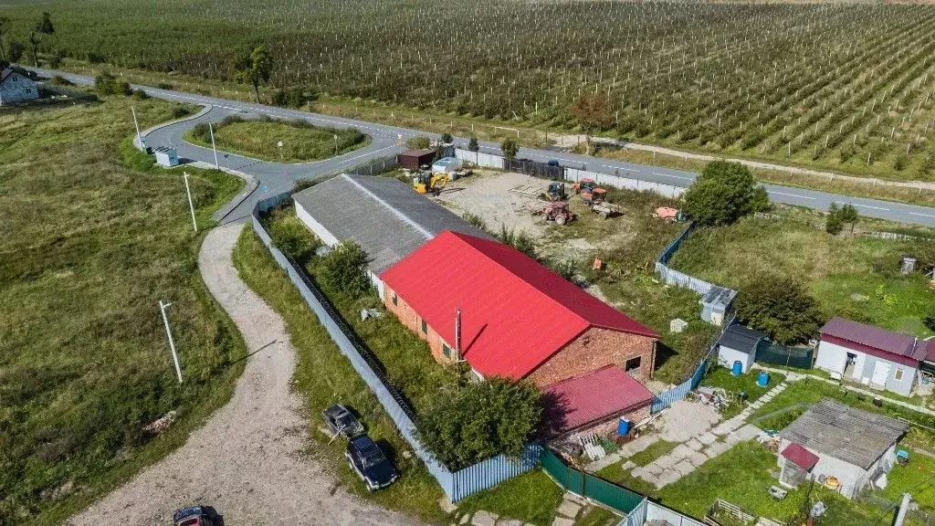 Склад в Калининградская область, Багратионовский муниципальный округ, ... - Фото 1
