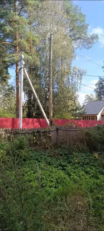 Участок в Ленинградская область, Гатчинский район, Вырица городской ... - Фото 1