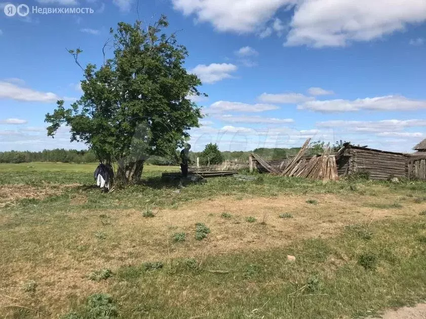 участок в тобольский район, кутарбитское сельское поселение, деревня . - Фото 0