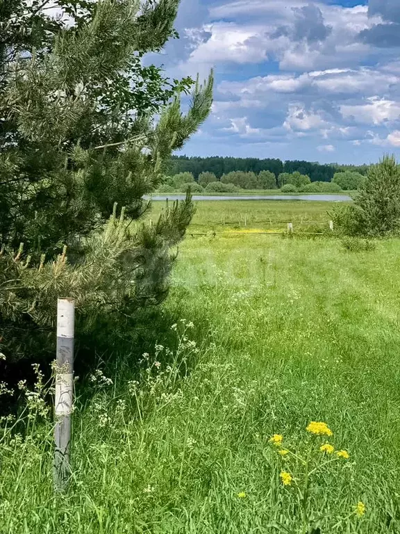 Участок 15 сот. (личное подсобное хозяйство (лпх)) - Фото 0