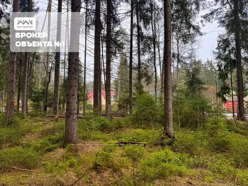 Участок в Санкт-Петербург, Санкт-Петербург, Зеленогорск ул. 2-я Лесная ... - Фото 1