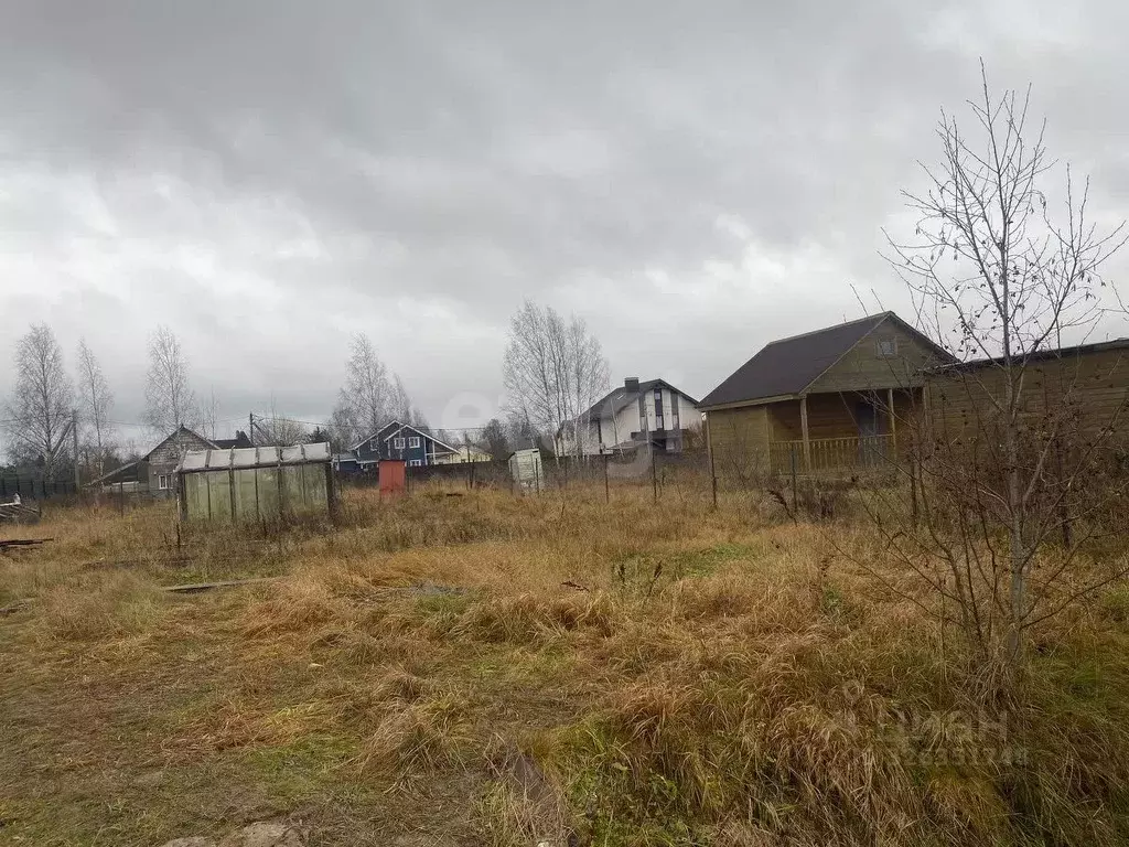 Участок в Ленинградская область, Тосненский район, Ульяновское ... - Фото 1