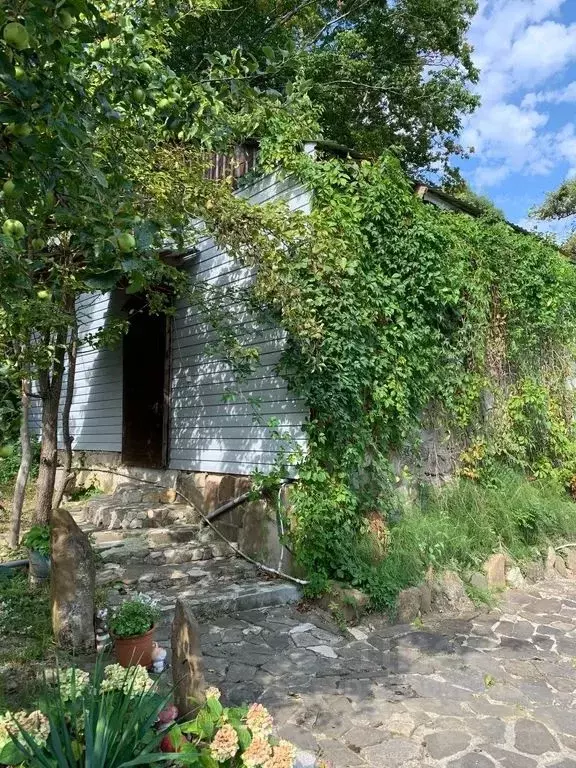 Дом в Краснодарский край, Туапсинский муниципальный округ, ... - Фото 1