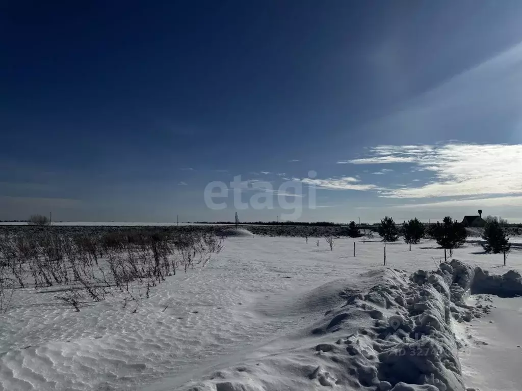 Участок в Смоленская область, Руднянский муниципальный округ, д. ... - Фото 1