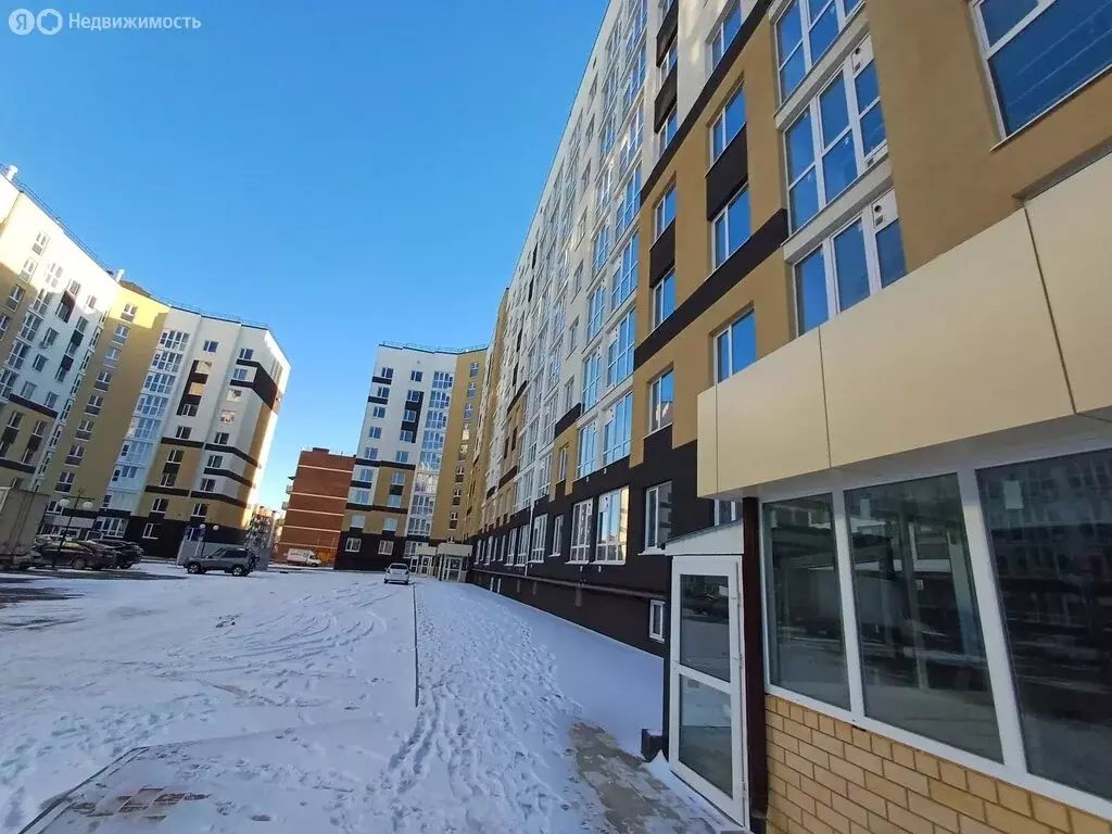 1-комнатная квартира: Михайловск, жилой район Гармония, Прекрасная ... - Фото 1