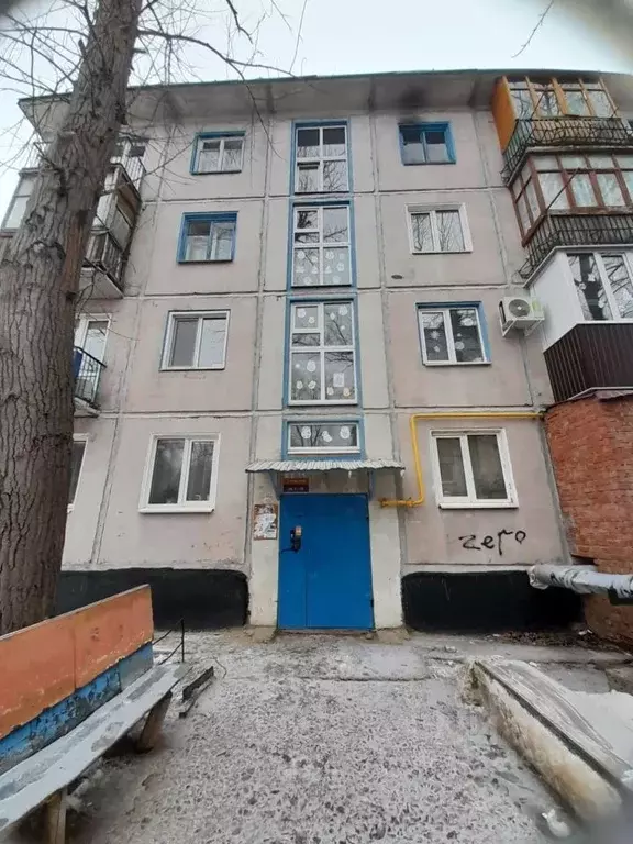 2-к кв. Оренбургская область, Ясненский муниципальный округ, с. ... - Фото 1