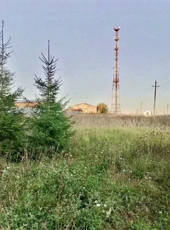 Участок в Московская область, Чехов муниципальный округ, д. Попово ул. ... - Фото 1