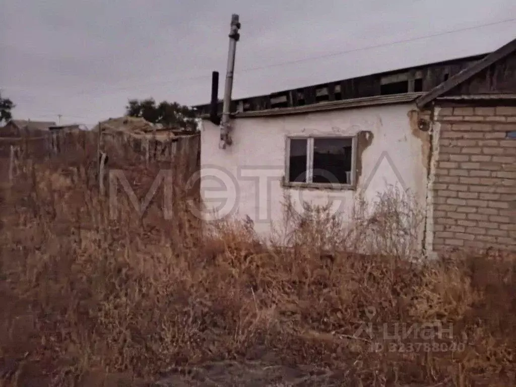 Дом в Оренбургская область, Соль-Илецкий муниципальный округ, с. ... - Фото 1