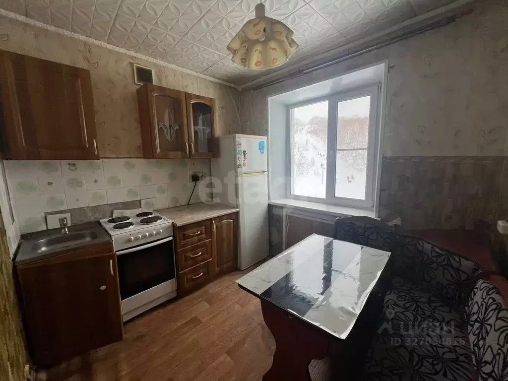 1-к кв. Камчатский край, Елизово Пограничный мкр, ул. Лесная, 10/3 ... - Фото 1