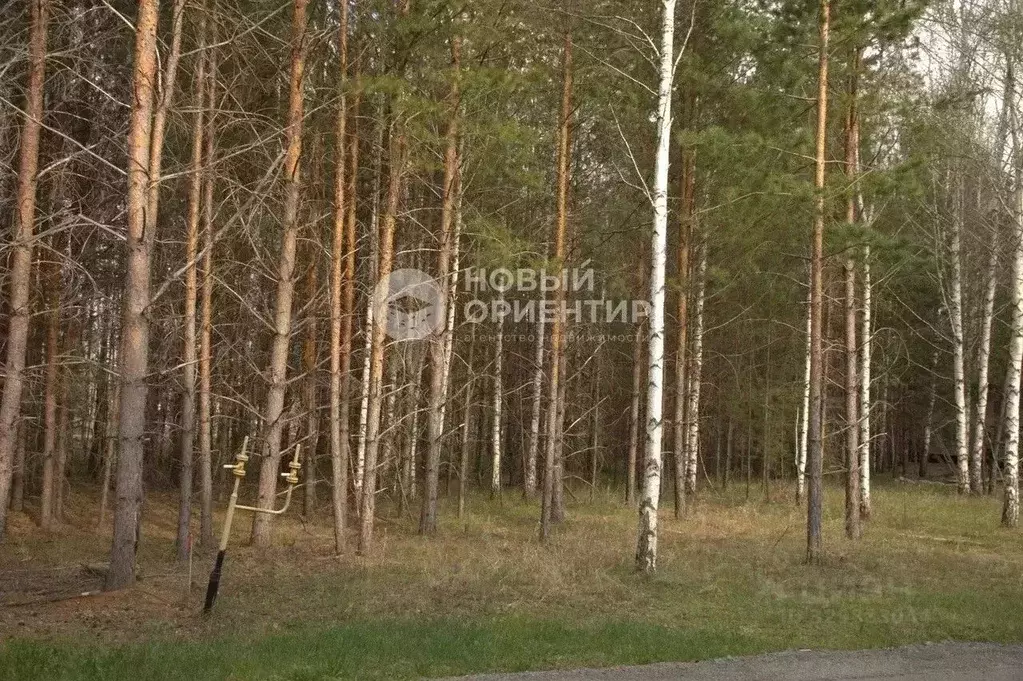 Участок в Свердловская область, Сысертский муниципальный округ, пос. ... - Фото 2