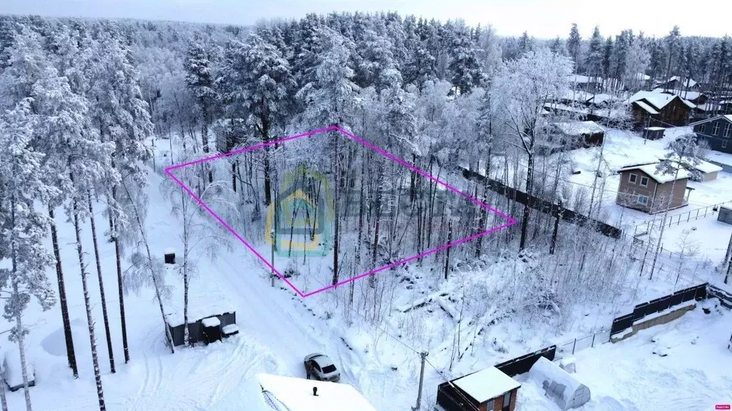 Участок в Ленинградская область, Всеволожский район, Токсовское ... - Фото 2