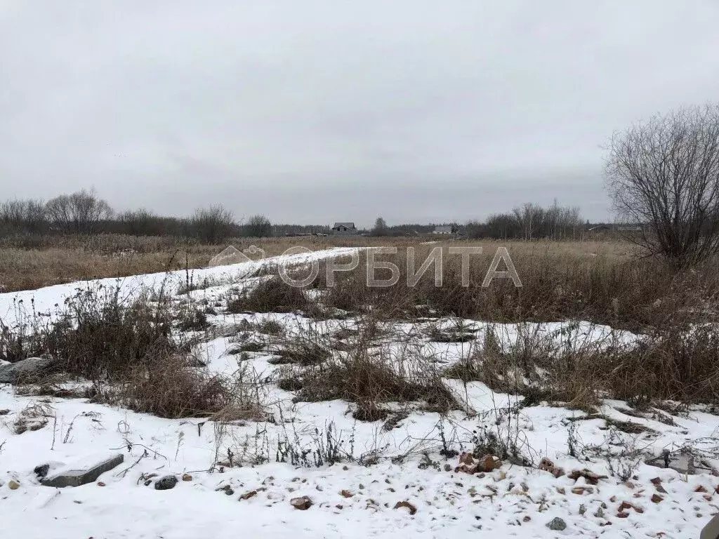 Участок в Тюменская область, Тюмень Велижанский тракт, 7-й км, 8 ... - Фото 0
