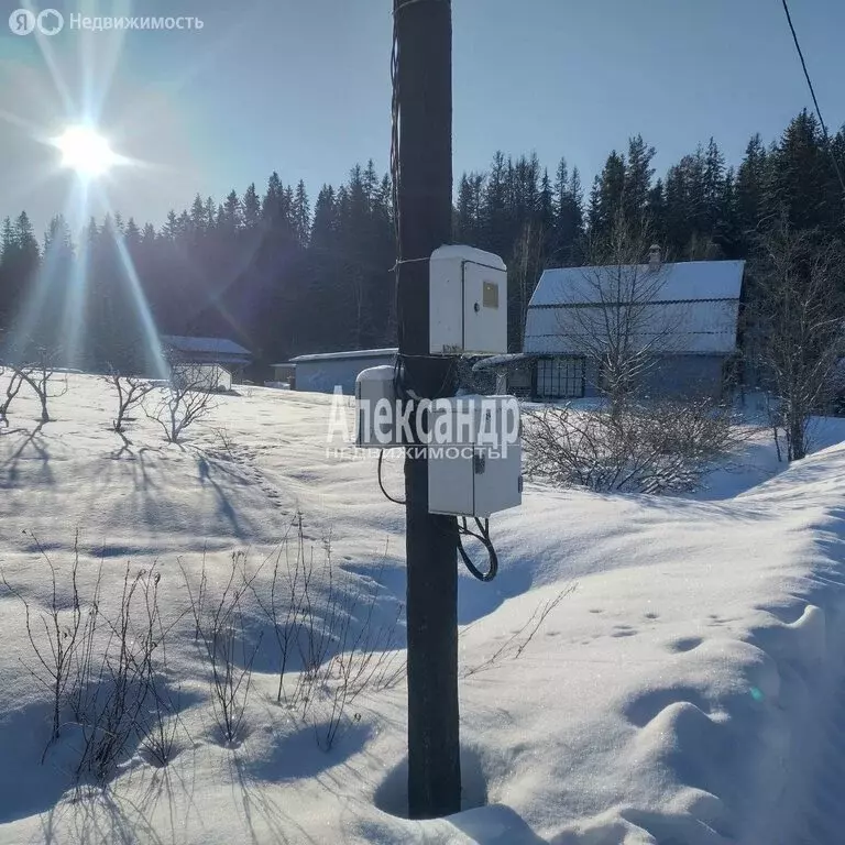 Участок в Выборгский район, Селезнёвское сельское поселение, посёлок ... - Фото 0