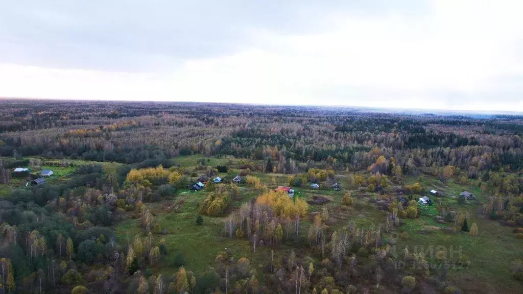 Участок в Тверская область, Селижаровский муниципальный округ, д. ... - Фото 1