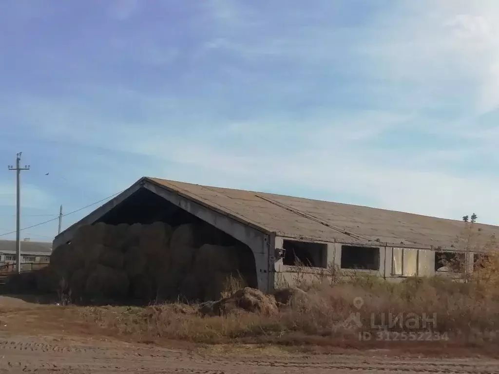 Помещение свободного назначения в Самарская область, Ставропольский ... - Фото 1