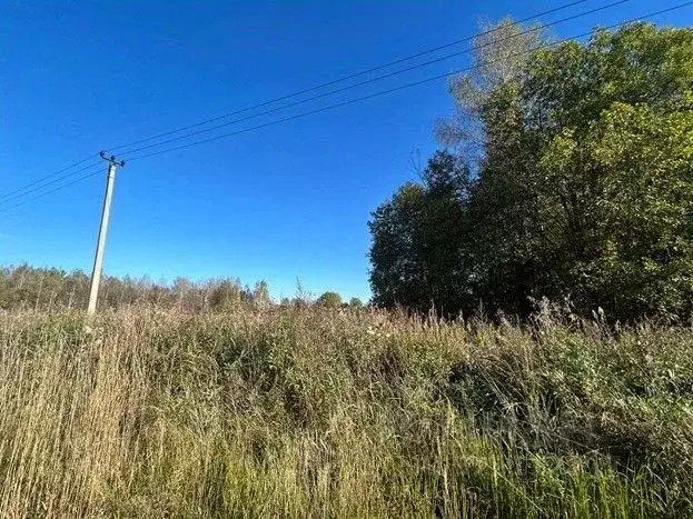 Участок в Московская область, Сергиево-Посадский городской округ, д. ... - Фото 1