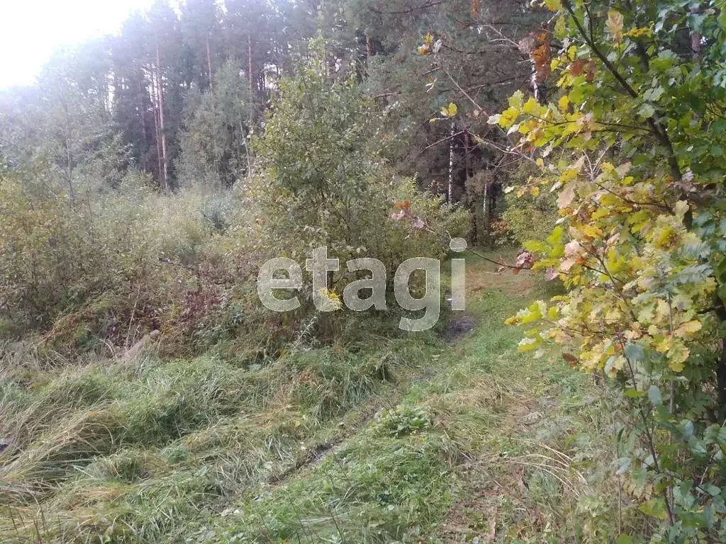 Участок в Брянская область, Брянский район, Нетьинское с/пос, пос. ... - Фото 1