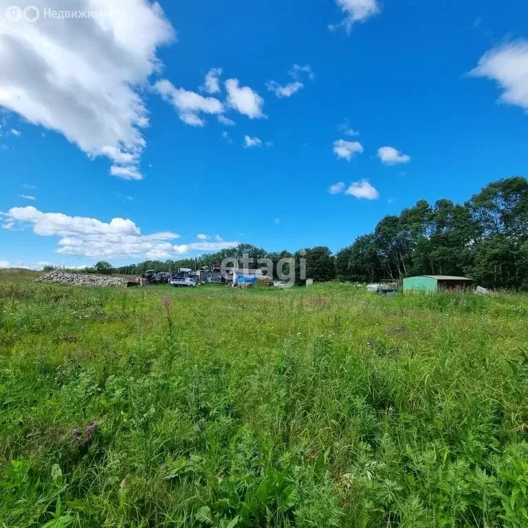 Участок в село Гродеково, Зелёная улица (947 м) - Фото 1