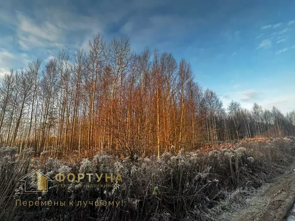 Участок в Нижегородская область, Бор пос. Большое Пикино, ул. Западная ... - Фото 2