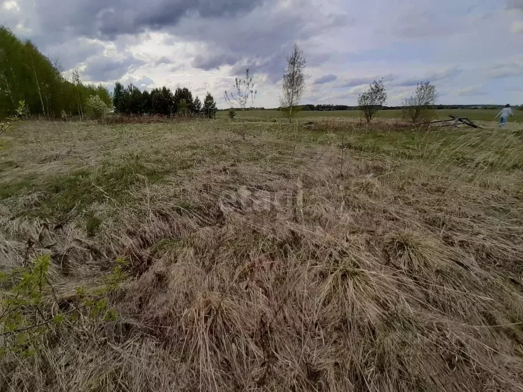 Участок в Свердловская область, Горноуральский городской округ, с. ... - Фото 0