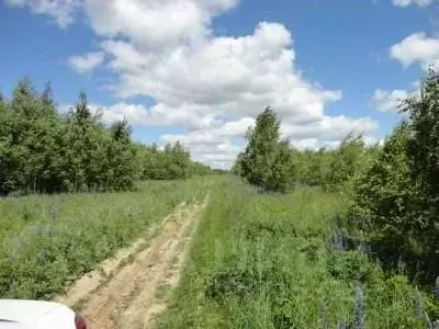 Участок в Нижегородская область, Сокольский городской округ, ... - Фото 1