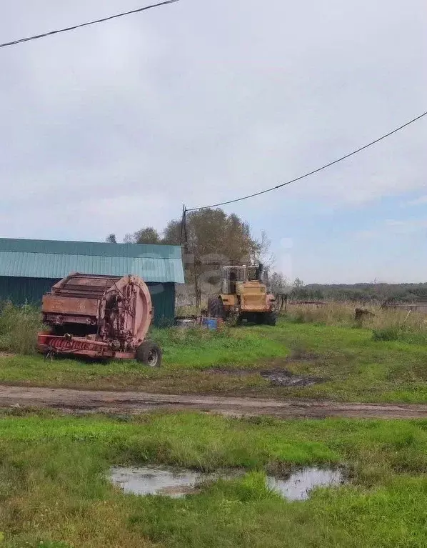 Склад в Новосибирская область, Колыванский район, Нива СНТ ул. ... - Фото 1