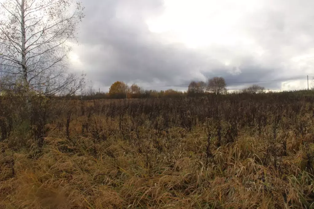 Участок в Московская область, Шаховская муниципальный округ, д. ... - Фото 1