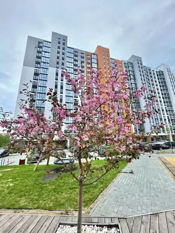 3-к кв. Челябинская область, Магнитогорск Советская ул., 132 (86.9 м) - Фото 1