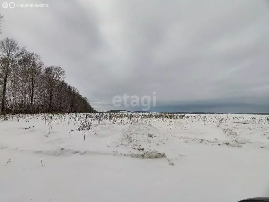 Участок в Стерлитамакский район, Казадаевский сельсовет, село Старое ... - Фото 1