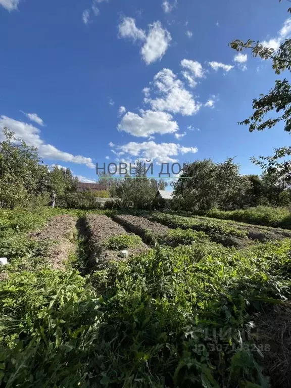 Участок в Новгородская область, Новгородский район, Савинское с/пос, ... - Фото 1