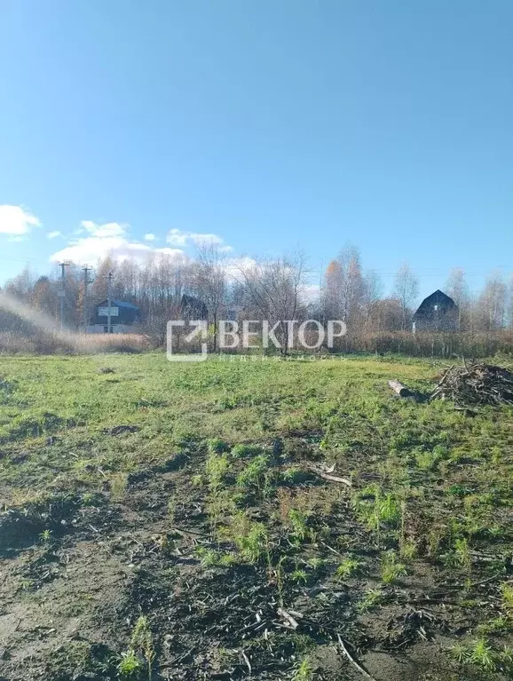 Участок в Костромская область, Костромской район, Караваевское с/пос, ... - Фото 2