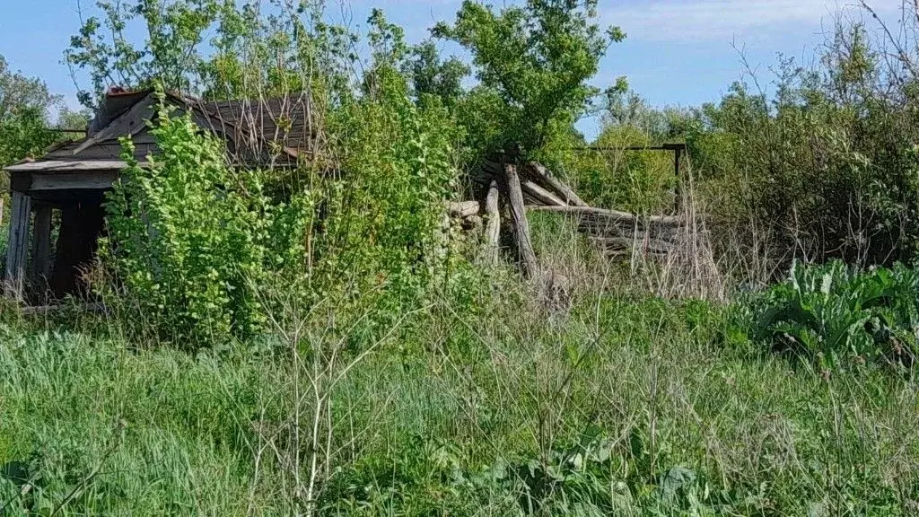 Дом в Саратовская область, Калининский район, Ахтубинское ... - Фото 0