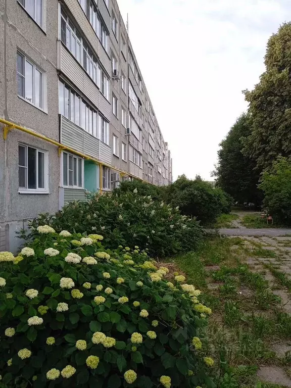 1-к кв. Московская область, Коломна городской округ, пос. Лесной ул. ... - Фото 2