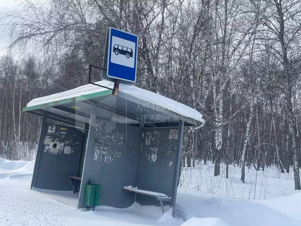 Участок в Тюменская область, Тюменский муниципальный округ Салаирский ... - Фото 2