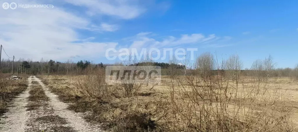 Участок в Любанское городское поселение, деревня Большое Переходное ... - Фото 1