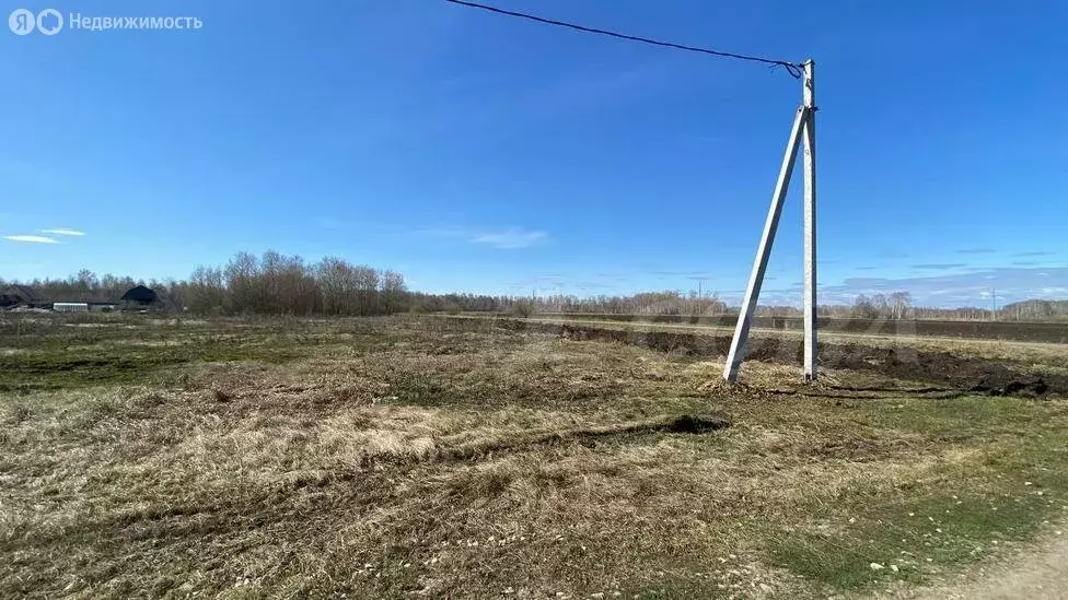 Участок в Ялуторовский район, село Киева (20 м) - Фото 0