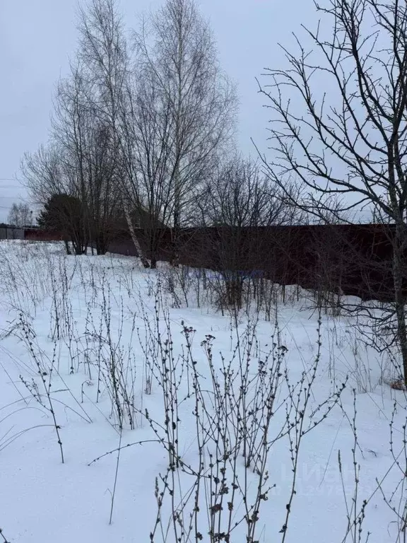 Участок в Нижегородская область, Богородский муниципальный округ, д. ... - Фото 1