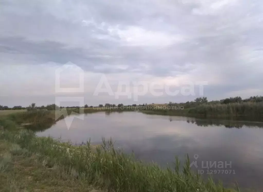 Участок в Волгоградская область, Городищенский район, с. Карповка  ... - Фото 1