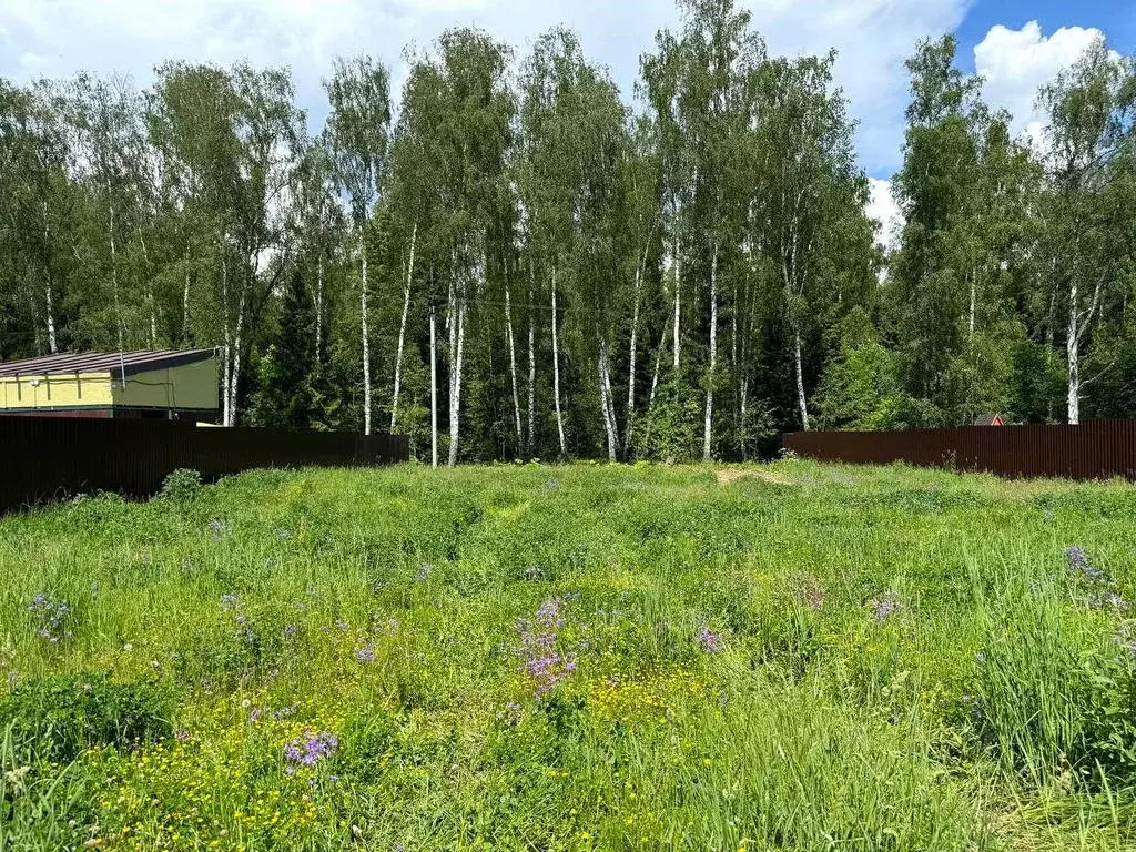 Участок в Московская область, Домодедово городской округ, с. Красный ... - Фото 0