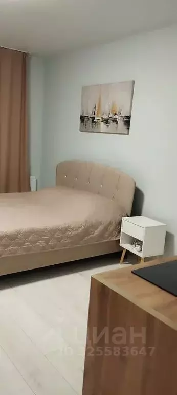 Студия Санкт-Петербург пос. Шушары, просп. Новгородский, 2к3 (30.0 м) - Фото 2