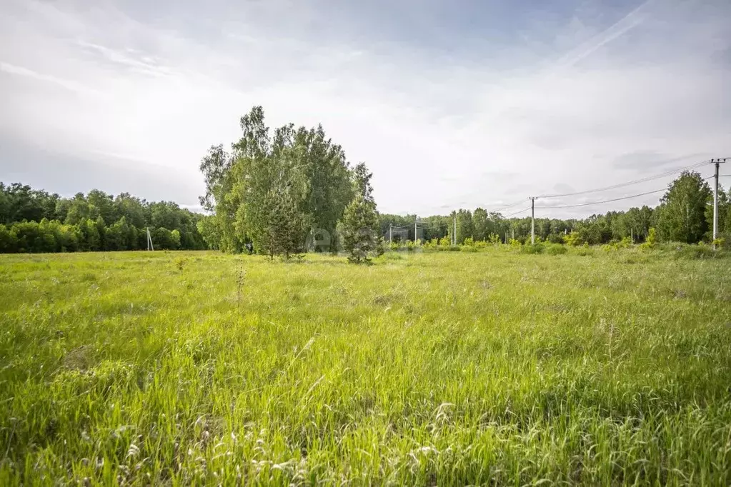 Участок в Новосибирская область, Бердск ул. Германа Титова (9.7 сот.) - Фото 0