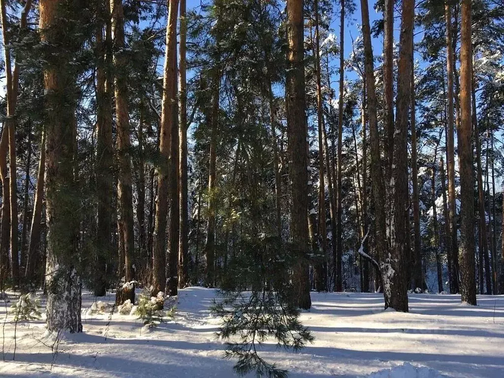 Участок в Московская область, Одинцовский городской округ, пос. ... - Фото 0